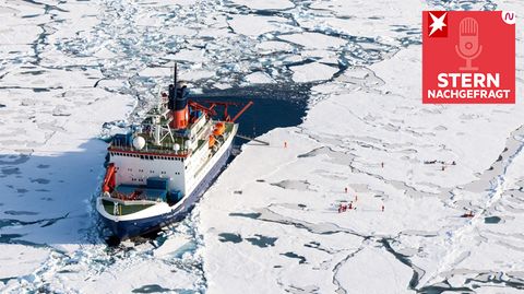 Podcast "STERN nachgefragt": So sah der Alltag auf dem Forschungsschiff "Polarstern" aus