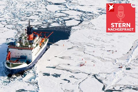 Podcast "STERN nachgefragt": So sah der Alltag auf dem Forschungsschiff "Polarstern" aus