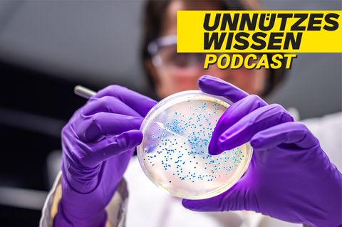 Podcast "Unnützes Wissen": Spannende Fakten zum Thema Medizin