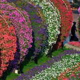 Der Freizeitpark ist bei Einheimischen und Touristen gleichermaßen beliebt und gilt als "very instagrammable".