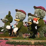 Der Dubai Miracle Garden wurde bereits am Valentinstag 2013 eröffnet und beherbergt viele von Blumen überwachsene Skulpturen und Häuser.