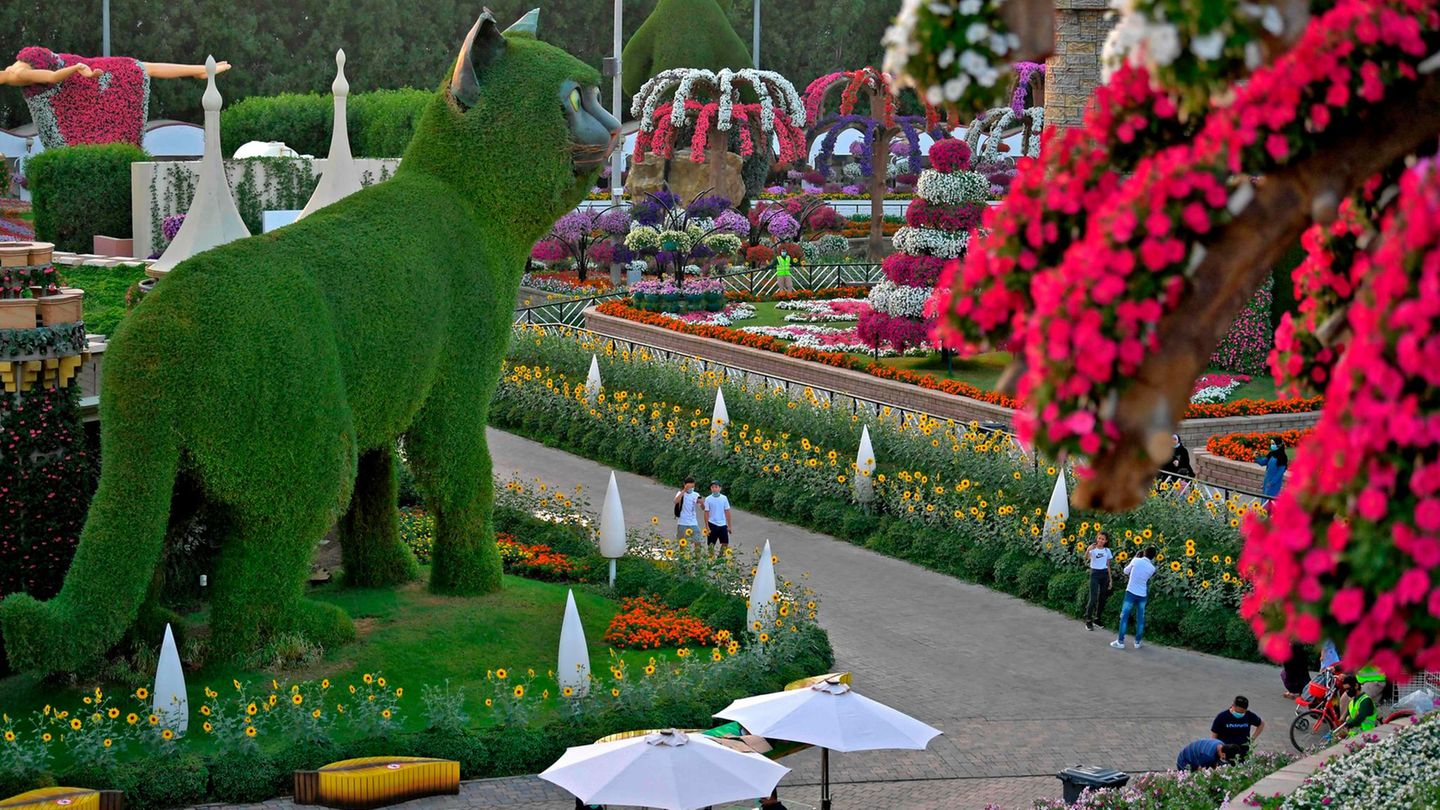 Die grüne Katze gehört neben Disneyfiguren und dem neuen Airbus A380 zu den größten Blumenobjekten.