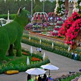 Die grüne Katze gehört neben Disneyfiguren und dem neuen Airbus A380 zu den größten Blumenobjekten.