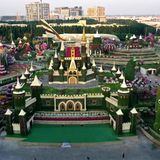 Mit der A380-Skulptur hat es der Dubai Miracle Garden ins Guinness-Buch der Rekorde geschafft, "als größte florale Installation" – und das mitten in der Wüste.