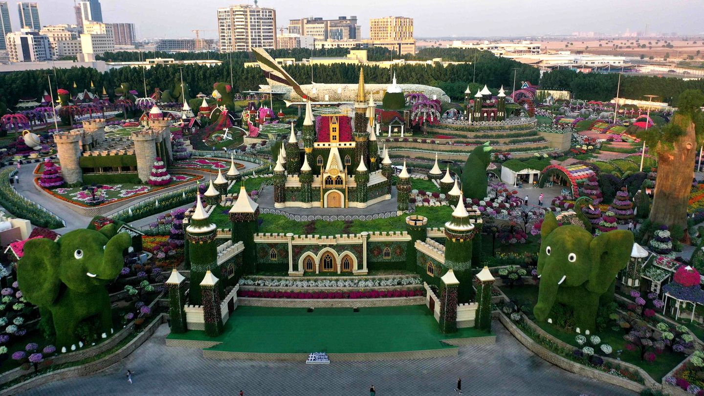 Mit der A380-Skulptur hat es der Dubai Miracle Garden ins Guinness-Buch der Rekorde geschafft, "als größte florale Installation" – und das mitten in der Wüste.