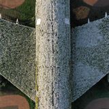 In den nächsten Wochen werden auf dem Flugzeugrumpf bis zu 5 Millionen Blüten blühen, vor allem Petunien, Geranien und Löwenmäulchen.