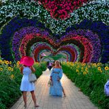 Die florale Schau wird auf einer Fläche von 72.000 Quadratmetern in der Nähe des Dubai Autodrome im Osten der Metropole veranstaltet.