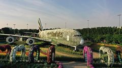 Seit Ende November blüht wieder ein mit 500.000 Blumen bepflanzter Airbus A380 im Dubai Miracle Garden. Dem grün-bunten Freizeitpark gelang mit dieser riesigen floralen Skulptur ein weiterer Eintrag im Guinness-Buch der Rekorde.  Infos: www.dubaimiraclegarden.com