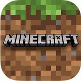 Meistverkauftes iPad-Spiel: "Minecraft"   Über "Minecraft" muss man eigentlich gar nicht mehr viel erzählen, das Klötzchen-Abenteuer gehört längst zur modernen Popkultur. Obwohl es bereits mehr als ein Jahrzehnt existiert, erfreut es sich immer noch großer Beliebtheit: Es ist das am meisten verkaufte iPad-Spiel des Jahres 2020.  Hier die Top 20 im Überblick:      Platz    App-Name    Entwickler    Preis in Euro      1    Minecraft    Mojang    7,99      2    Monopoly    Marmalade Game Studio    4,49      3    Plague Inc.    Ndemic Creations    0,99      4    Bloons TD 6    Ninja Kiwi    5,49      5    The House of Da Vinci 2    Blue Brain Games    5,49      6    Farming Simulator 20    GIANTS Software GmbH    6,99      7    The House of Da Vinci    Blue Brain Games    5,49      8    Stardew Valley    Chucklefish Limited    7,99      9    Tropico    Feral Interactive Ltd    12,99      10    The Room    Fireproof Games    1,09      11    Company of Heroes    Feral Interactive Ltd    14,99      12    Football Manager 2020 Mobile    SEGA    9,99      13    Bau-Simulator 3    astragon Entertainment GmbH    4,99      14    HORSE CLUB Pferde-Abenteuer    Blue Ocean Entertainment AG    4,99      15    Rebel Inc.    Ndemic Creations    2,29      16    The Room: Old Sins    Fireproof Games    5,49      17    Football Manager 2020 Touch    SEGA    21,99      18    Mini Metro    Dinosaur Polo Club    4,49      19  Meridian 157: Kapitel 1     NovaSoft Interactive Ltd    2,29      20  Das Spiel des Lebens     Marmalade Game Studio    3,49