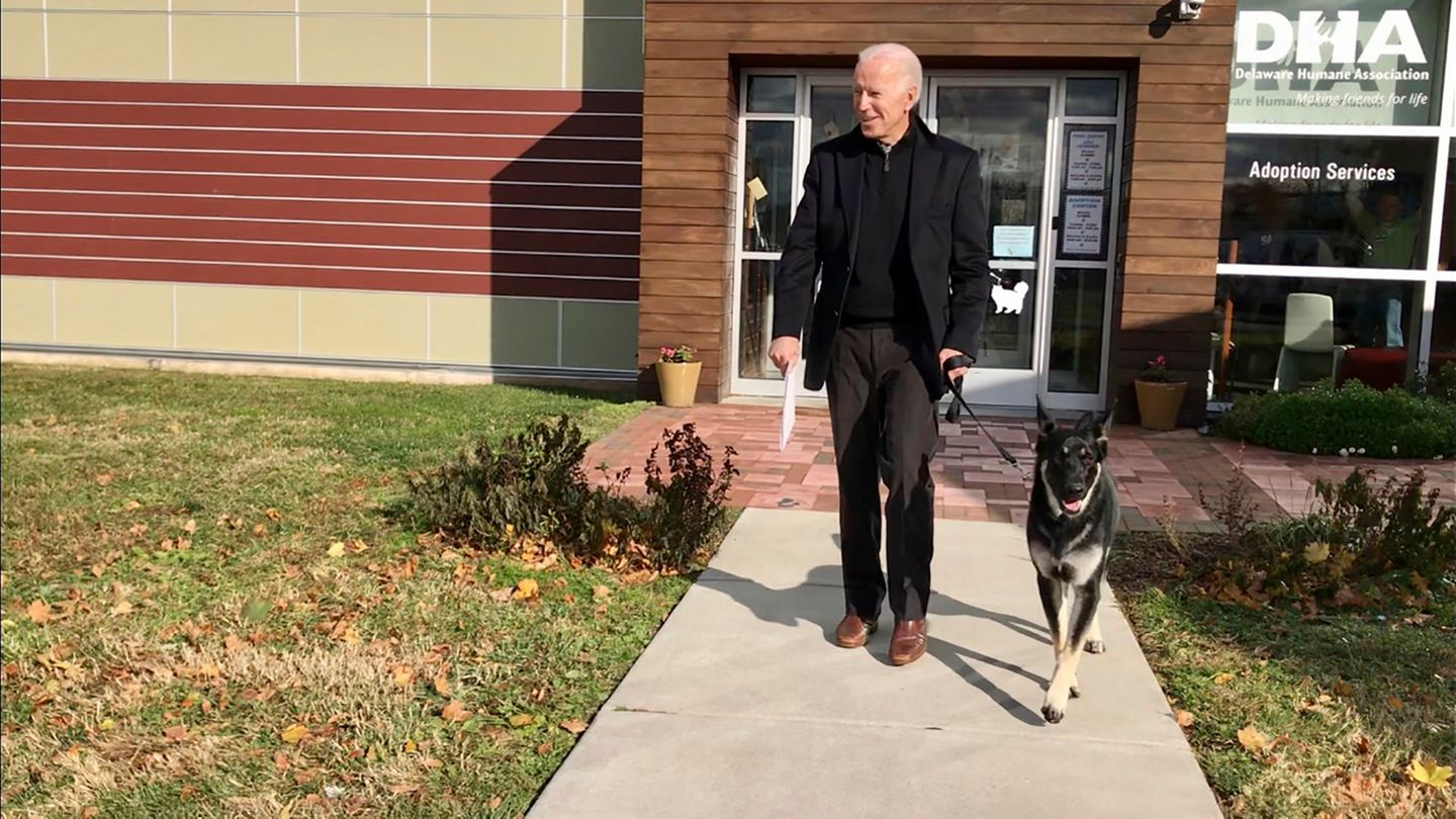 Morgenlage: Joe Biden mit Schäferhund Major