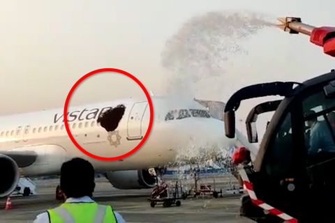 Bienen-Attacke auf Airbus in Indien