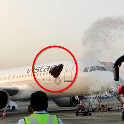 Bienen-Attacke auf Airbus in Indien