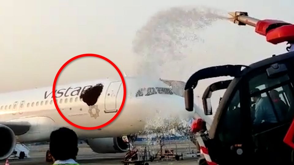 Bienen-Attacke auf Airbus in Indien