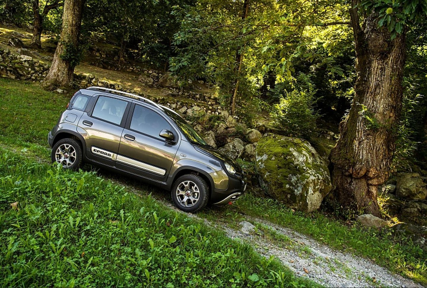 Fiat Panda Cross