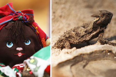 Links ist der Kopf einer dunkelhäutigen Stoffpuppe mit rotem Kopftuch zu sehen, links ein Reptil in einem Terrarium