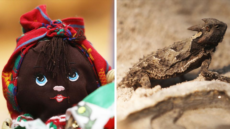 Puppe und Reptil Links ist der Kopf einer dunkelhäutigen Stoffpuppe mit rotem Kopftuch zu sehen, links ein Reptil in einem Terrarium