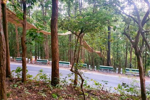 Indien baut neue Brücke – um Tiere sicher über die Straße zu geleiten