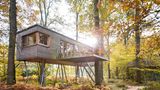 Bild 1 von 11 der Fotostrecke zum Klicken - Deutschland: Resort Baumgeflüster  Komfort und Design wie im Hotelzimmer gibt es auch im edlen Baumhaus in der Ammerländer Parklandschaft in der Nähe von Bad Zwischenahn, 40 Minuten südlich von der Nordsee gelegen. Buchbar ab einer Übernachtung.  Infos: www.baumgefluester.de