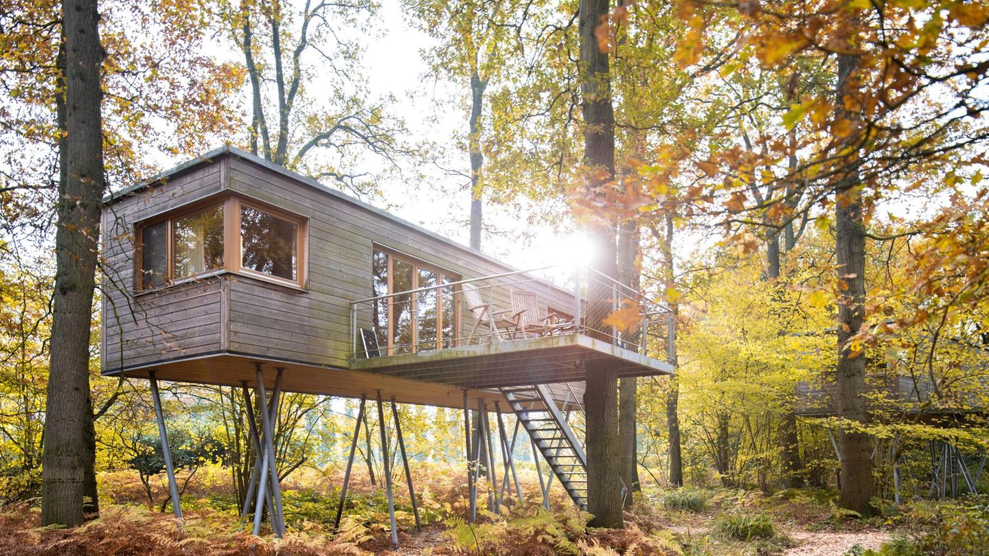 Bild 1 von 11 der Fotostrecke zum Klicken - Deutschland: Resort Baumgeflüster  Komfort und Design wie im Hotelzimmer gibt es auch im edlen Baumhaus in der Ammerländer Parklandschaft in der Nähe von Bad Zwischenahn, 40 Minuten südlich von der Nordsee gelegen. Buchbar ab einer Übernachtung.  Infos: www.baumgefluester.de