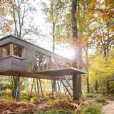 Bild 1 von 11 der Fotostrecke zum Klicken - Deutschland: Resort Baumgeflüster  Komfort und Design wie im Hotelzimmer gibt es auch im edlen Baumhaus in der Ammerländer Parklandschaft in der Nähe von Bad Zwischenahn, 40 Minuten südlich von der Nordsee gelegen. Buchbar ab einer Übernachtung.  Infos: www.baumgefluester.de