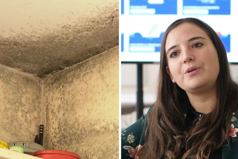 Schimmel in der Wohnung? Dieses neue Start-Up hilft Mietern bei Mängeln