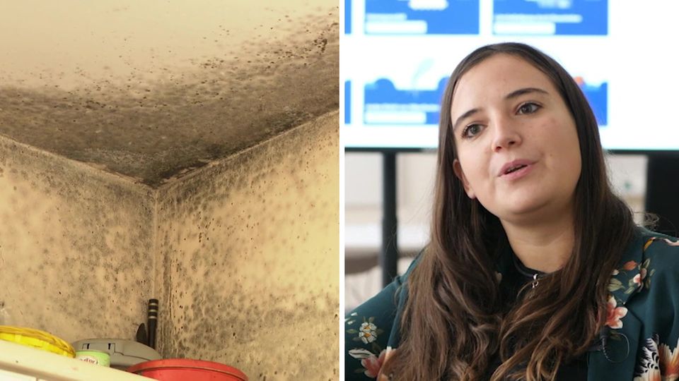 Schimmel in der Wohnung? Dieses neue Start-Up hilft Mietern bei Mängeln