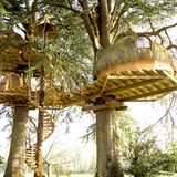Frankreich: Les Ormes  Über die Wendeltreppe geht es in das Familien-Baumhaus, eine der schönsten Glamping-Unterkünfte im Les Ormes, einem 200 Hektar großen Gelände in Epiniac, einer Nachbarstadt von Dol de Bretagne.  Infos: www.lesormes.com
