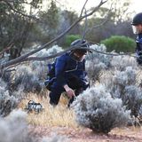 Nach der 300 Millionen Kilometer langen Reise am Boden: Am Morgen des 6. Dezember wird der Behälter im Woomera-Zielgelände im Süden Australiens gefunden.