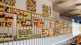 Schüler erarbeiten Verhaltensregeln und engagieren sich für Menschenrechte und Umweltschutz     