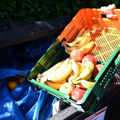 Sollte man "Containern" erlauben?