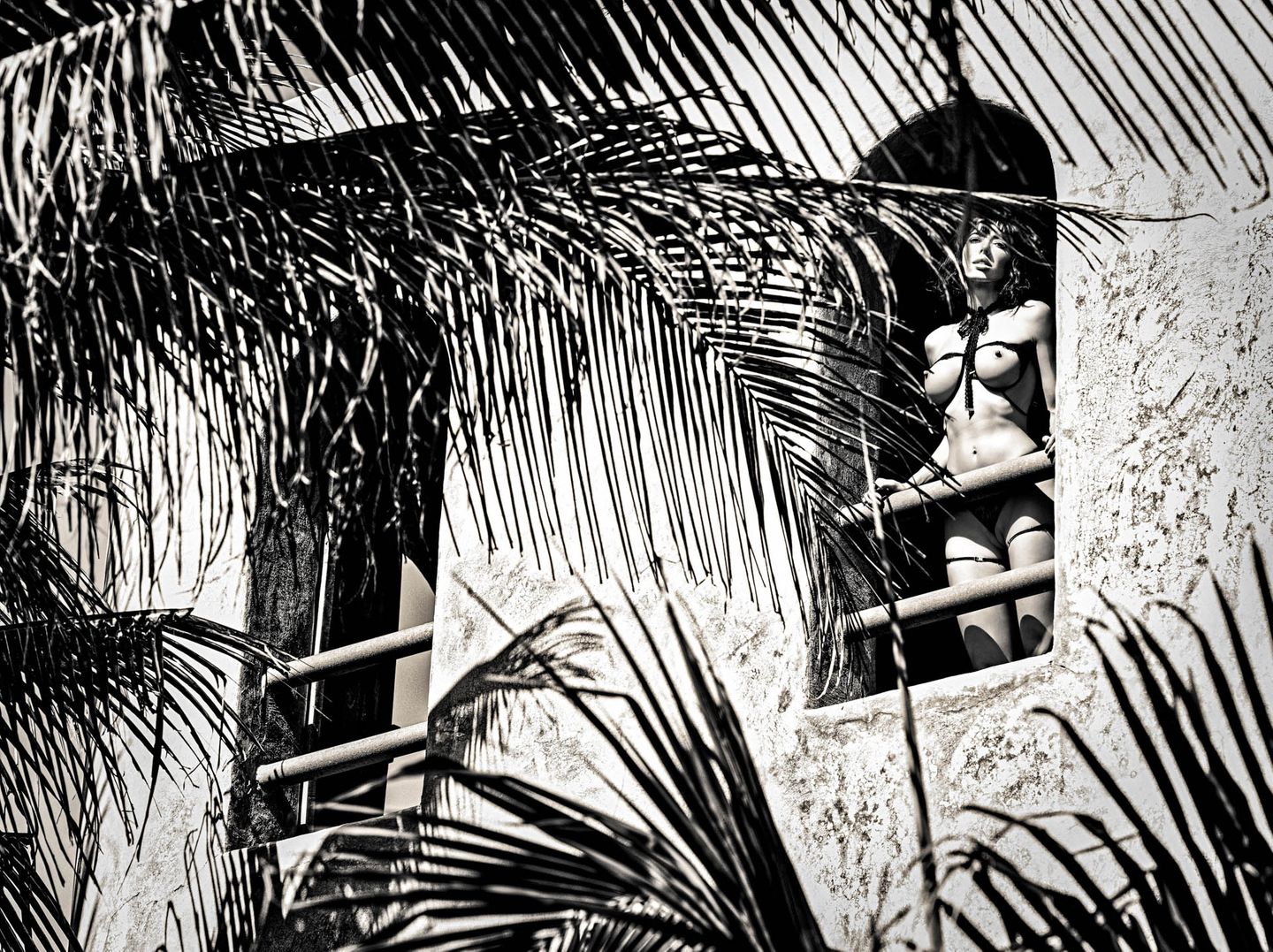 Die "Casa Tequila” von Milo Moiré und Peter Palm ist auf 100 Exemplare limitiert. In der Box befinden sich zwölf Kunstdrucke im Großformat 61 x 81 cm, ein Kalender für 2021 und Material zur Aufhängung. Die Edition gibt es zurzeit als Weihnachtsangebot für 395 Euro. Hier können Sie die Box bestellen