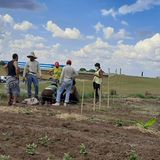 Selbstversorgung: Die Begegnungsstätte wird um landwirtschaftliche Flächen erweitert