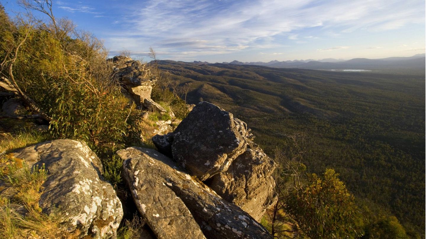 Australien: 38-Jährige klettert für Foto über Absperrung – und stürzt 80 Meter in die Tiefe