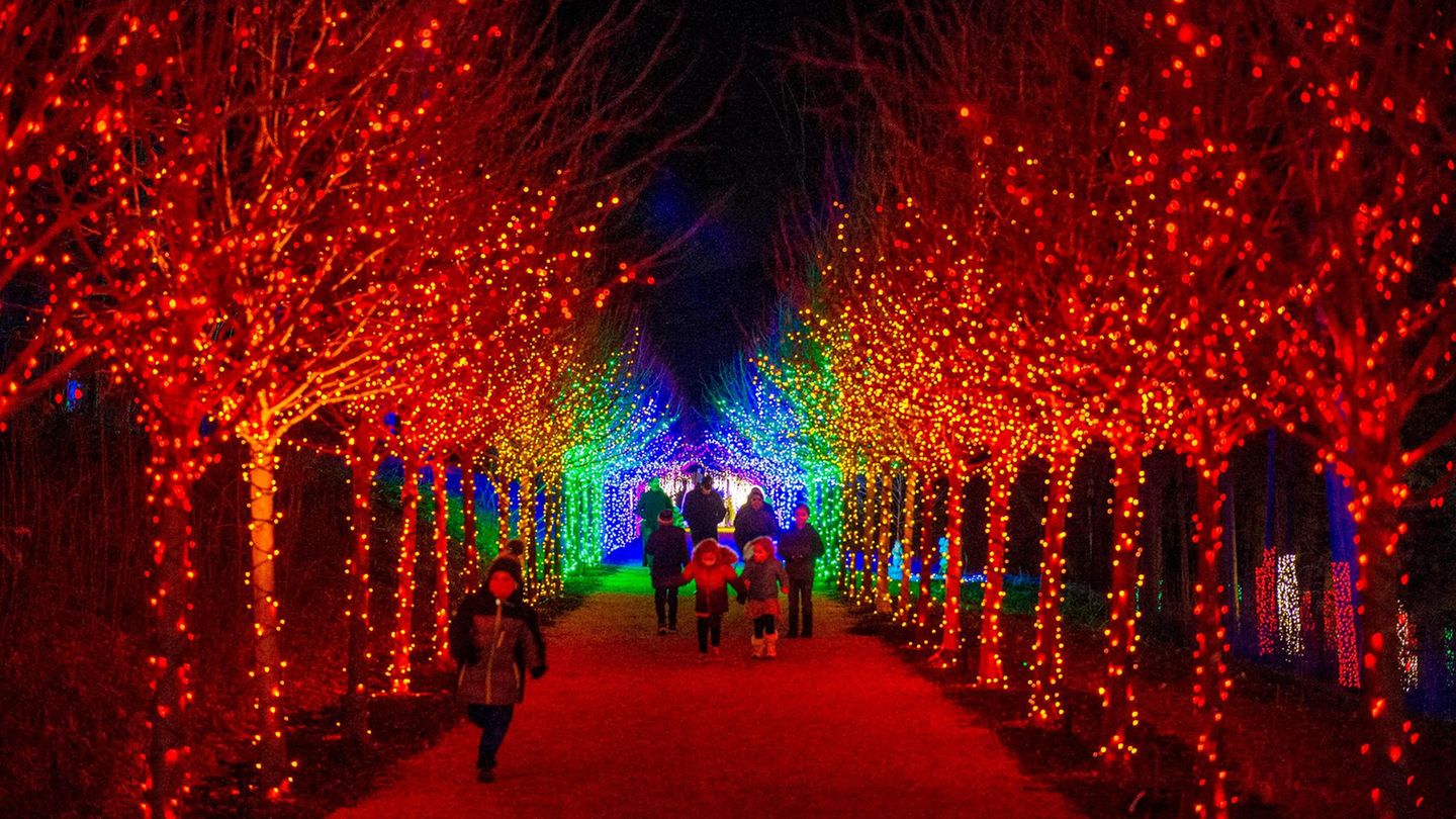 Stockbridge in Massachusetts: Funkelnde Wege  Die Amerikaner nennen es "winter wonderland": die Dekorationen mit 200.000 Lichtern in Naumkeag, einem Anwesen mit indianischem Namen in den Berkshire Mountains in Neuengland.