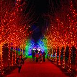 Stockbridge in Massachusetts: Funkelnde Wege  Die Amerikaner nennen es "winter wonderland": die Dekorationen mit 200.000 Lichtern in Naumkeag, einem Anwesen mit indianischem Namen in den Berkshire Mountains in Neuengland.