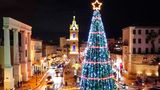 Tel Aviv: Lichterglanz im Heiligen Land  An einem Kreisverkehr in der israelischen Metropole am Mittelmeer glitzert dieser von einem Stern gekrönte hohe Weihnachtsbaum.