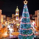 Tel Aviv: Lichterglanz im Heiligen Land  An einem Kreisverkehr in der israelischen Metropole am Mittelmeer glitzert dieser von einem Stern gekrönte hohe Weihnachtsbaum.