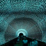 Singapur: Adventszeit in Äquatornähe  Besucher laufen in den Gardens by the Bay durch einen nur in der Weihnachtszeit installierten LED-Tunnel.