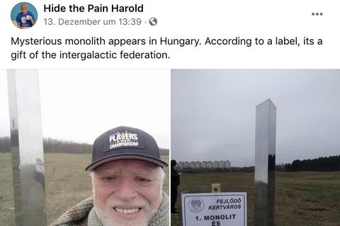 Ein bärtiger Mann steht vor einer glänzenden Metallsäule, die auf einer Wiese auftauchte