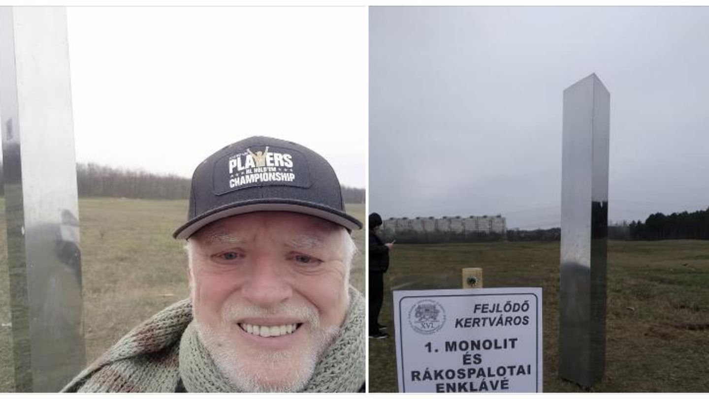 Ein bärtiger Mann steht vor einer glänzenden Metallsäule, die auf einer Wiese auftauchte