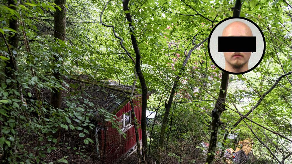 Hütte im Wald versteckt