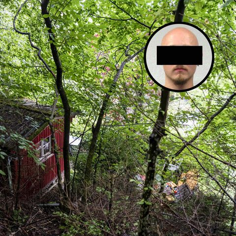 Hütte im Wald versteckt