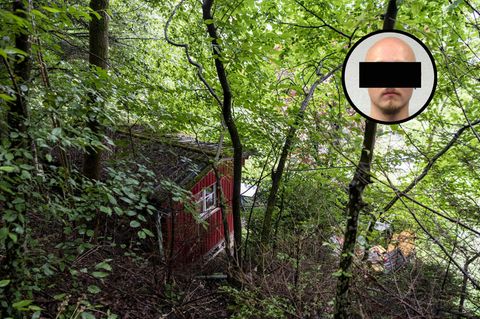 Hütte im Wald versteckt
