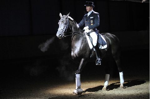 Dressur-Hengst Totilas an Kolik gestorben