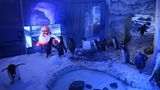 London: Auch für Pinguine kommt der Weihnachtsmann  Im Sea Life London Aquarium stehen die Vögel an einer Glasscheibe, vor der ein Bildschirm aufgebaut ist, auf dem ein Weihnachtsfilm läuft.