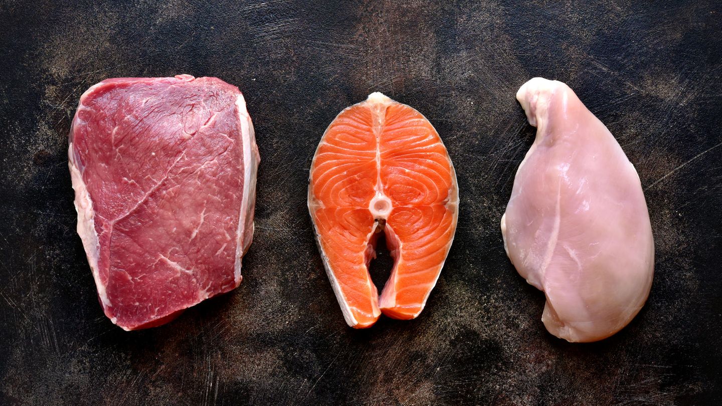 Fisch und Fleisch  Wer auf Fleisch nicht verzichten möchte, sollte für eine gesunde Ernährung auf mageres Schweinefleisch, Rind oder Geflügel setzen. Die Kombination aus Fett, Sehnen, Wasser und Muskelfasern ergibt eine hervorragende Eiweißverbindung und sorgt für einen hohen Proteingehalt. Einkaufen sollte man das Fleisch im Idealfall bei seinem Metzger des Vertrauens.  Eine weitere Möglichkeit, um tierisches Eiweiß aufzunehmen, ist der Verzehr von Fisch. Deren Fleisch ist nicht nur gut bekömmlich, sondern enthält auch noch viele Omega-3-Fettsäuren. Fischarten wie Zander, Barsch, Goldmakrele oder Kabeljau lassen die Pfunde schwinden. Weniger Proteine enthalten dagegen Meeresfrüchte, Garnelen, Krebse und Muscheln.