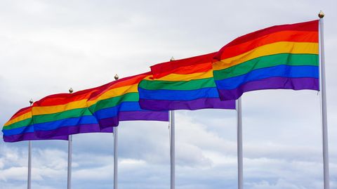 Mehrere Regenbogenfahnen wehen im Wind.