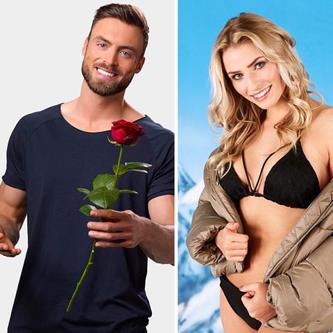 Der Bachelor