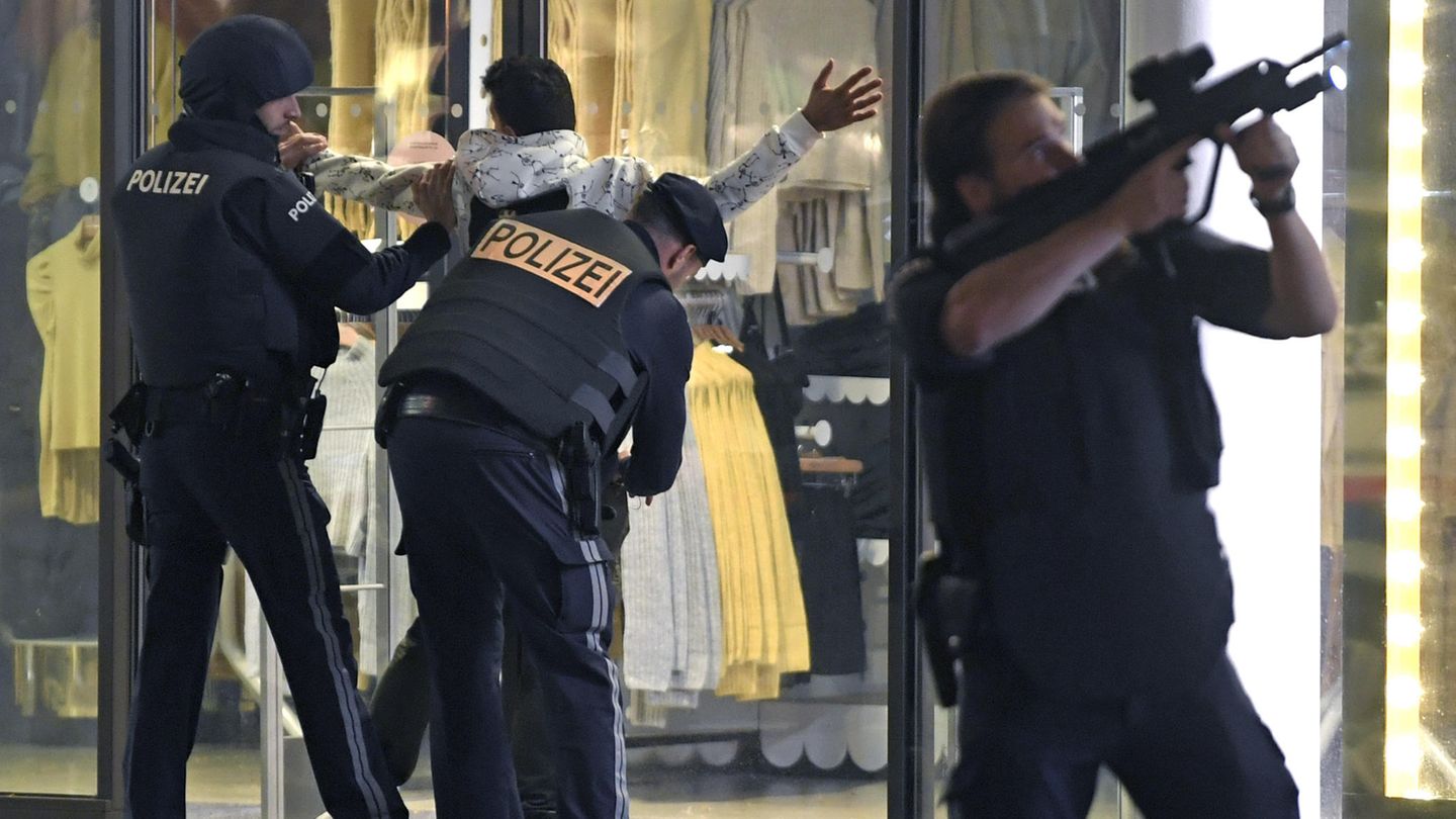 Archivbild: Schwerbewaffnete Polizisten kontrollieren am 2. November in der Wiener Innenstadt eine Person.