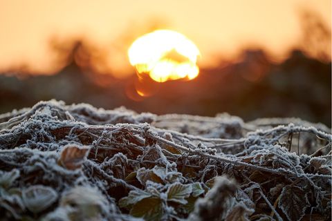 Morgensonne über gefrorenem Bode